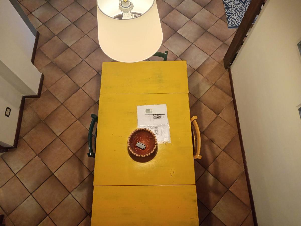 פיזה Maioliche Cozy Apartment מראה חיצוני תמונה