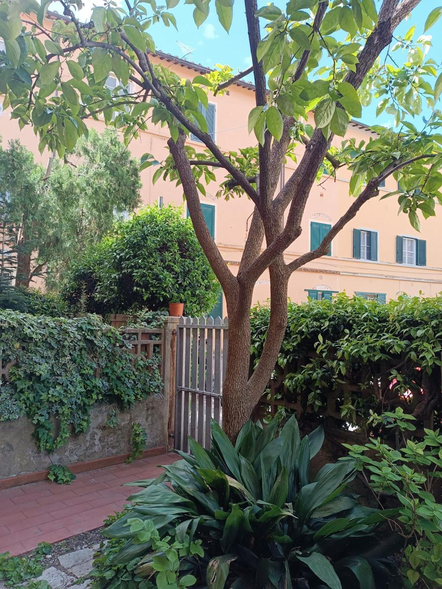 פיזה Maioliche Cozy Apartment מראה חיצוני תמונה